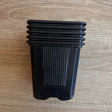 🌵 Kit Suculover – Cubresuelos Chile