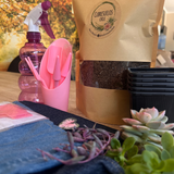 🌵 Kit Suculover – Cubresuelos Chile