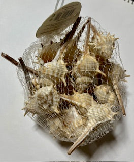 CARACOLA PUNTAS ADORNO